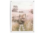 Poster REINDERS "Nature Walk", beige (farbe bild(er): beige), B:60cm H:80cm T:0,1cm, Bilder, Poster, Garten - Landschaft - Landleben - Sommer - Neblig - Beige - Leinwand