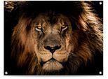 Poster REINDERS "Löwe", braun (farbe bild(er): braun), B:80cm H:60cm T:0,1cm, Leinwand, Bilder, Poster