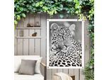 Poster REINDERS "Leopard", schwarz (farbe bild(er): schwarz, weiß), B:60cm H:80cm T:0,1cm, Leinwand, Bilder, Poster, Outdoor für Garten oder Balkon