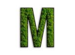 Moosbild Stylegreen, Grün, Naturmaterialien, Kork, Pflanzen, 25x21x4 cm, einfache und schnelle Anbringung, pflegefrei – nicht gießen oder besprühen, keine Beleuchtung notwendig, Bilder und Zubehör, Moosbilder