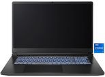 CAPTIVA Gaming-Notebook "Entry Gaming I10-1119GE", schwarz, 32 GB RAM 1.000 GB SSD, Core i7, Microsoft Windows 11 Pro (64 Bit), Notebooks