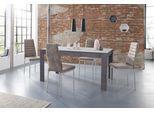 Essgruppe OTTO HOME "Lynn160/Kate", grau (schieferfarben, hellgrau), Sitzmöbel-Sets, Essgruppe, Tisch mit 4 Stühlen