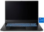 CAPTIVA Gaming-Notebook "Entry Gaming I10-1109GE", schwarz, 16 GB RAM 1.000 GB SSD, Core i7, Microsoft Windows 11 Pro (64 Bit), Notebooks, Gaming-Notebook