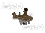 GRAF Wasserpumpe pa1375 für Ford Peugeot Fiat