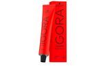 Igora Royal 6-68 60 ml