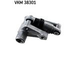 SKF Riemenspanner, Keilrippenriemen vkm38301 für BMW (BRILLIANCE)