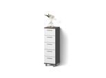 BADSCHRANK Eisak Anthrazit 30 x 95 cm