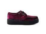 TUK Viva High Creeper bordeauxrode fluwelen platform veterschoenen in gothic-stijl - AV6802