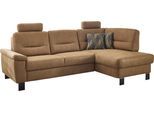 Ecksofa DIE PLANBAR "PP-PF23172 L-Form, Breite 244 cm", braun (zimt), B:244cm H:88cm T:160cm, 100% Polyester, Sofas, Ecksofa, Eckgarnitur mit besonders kleinem Stellmaß ca. 160 x 244 cm