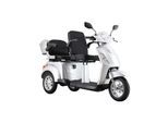 ECONELO E-Seniorenmobil Billy 2.0, Lithium-Akku, 3-Rad, 60V, 1000 Watt, normal Sitz, Silber