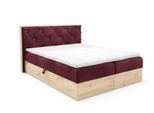 BOXBETT Helios Premium