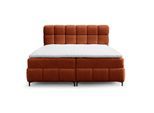 BOXBETT Sophie In Rolf