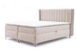 BOXBETT Damien