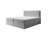 BOXBETT Degna
