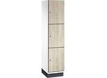 C+P Schliessfachschrank Cambio, 1 Abteil, 3 Fächer, mit Sockel, B 400 x T 525 x H 1980 mm, verkehrsweiss/Sen Esche-Dekor