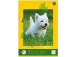 Malblock Staufen® Edition Dürer, Format A4, 100 Blatt, Recycling Offset-Papier, weiss, 1 Stück