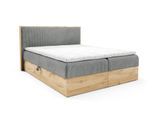BOXBETT Roland Premium
