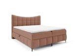 BOXBETT Charles Premi.. In Aragon