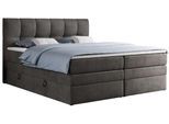 BOXSPRINGBETT ALVIN KING 140/200 Dunkelgrau Velvet - H4