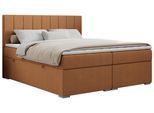 BOXBETT ALLY 120/200 Orange Struktur - H4