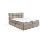 BOXBETT Parozo Premium