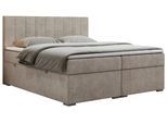 BOXBETT LOPE 120/200 - Beige Strukture - H3