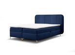 BOXBETT Avery Premium