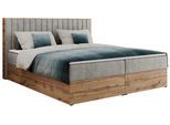 BOXBETT ALBERO 4 - 160/200 Hellgrau Struktur - H4