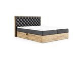 BOXBETT Diona Faro