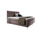 BOXBETT Ambre In Fresh