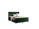 BOXBETT Espen