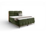 BOXBETT Charlie Premium