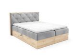 BOXBETT Helios Premium