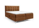 BOXBETT Candela