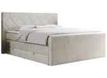 BOXSPRINGBETT KING EIGAR 140/200 Beige Velvet - H4