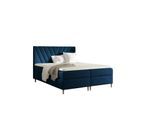 BOXBETT Espen Premium