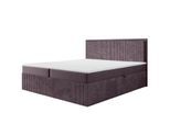 BOXBETT Hidis In Stoff Vito