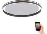LED Deckenleuchte "Q-VITO", anthrazit, 1, Ø 79,4cm, 1 Stk., NEUHAUS Q SMART HOME LIGHTS, Leuchten, LED Deckenleuchte