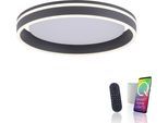 LED Deckenleuchte "Q-VITO", anthrazit, 1, Ø 40cm, 1 Stk., NEUHAUS Q SMART HOME LIGHTS, Leuchten, LED Deckenleuchte