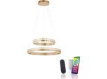 LED Pendelleuchte "Q-VITO", messingfarben matt, 1, Ø 59cm, 1 Stk., NEUHAUS Q SMART HOME LIGHTS, Leuchten, LED Pendelleuchte