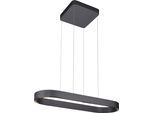 LED Pendelleuchte "Q-STRETTO", schwarz, 1, 1 Stk., NEUHAUS Q DESIGN CONTROL LIGHTS, Leuchten, LED Pendelleuchte