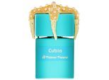 Tiziana Terenzi Cubia Extrait de Parfum - Unisex-Duft 100ml