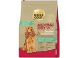 SELECT GOLD Sensitive Trockenfutter Hund Adult Medium Seidenraupenprotein 4 kg