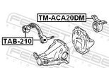FEBEST Lagerung, Differential tmaca20dm Hinterachse für TOYOTA CHERY