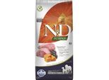N&D Farmina Pumpkin Medium/Maxi Adult Lamm 12 kg