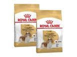 ROYAL CANIN Cavalier King Charles Adult 2x1,5 kg