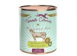 Terra Canis Getreidefrei Adult 6x800g Kalb mit Petersilienwurzel, Mango und Johannisbeere