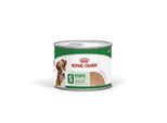ROYAL CANIN Mini Adult Mousse 12x195 g