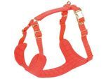 more LIFESTYLEPETS Nylon Geschirr rot L