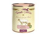 Terra Canis Classic Adult 6x800g Lamm mit Zucchini, Hirse und Dill